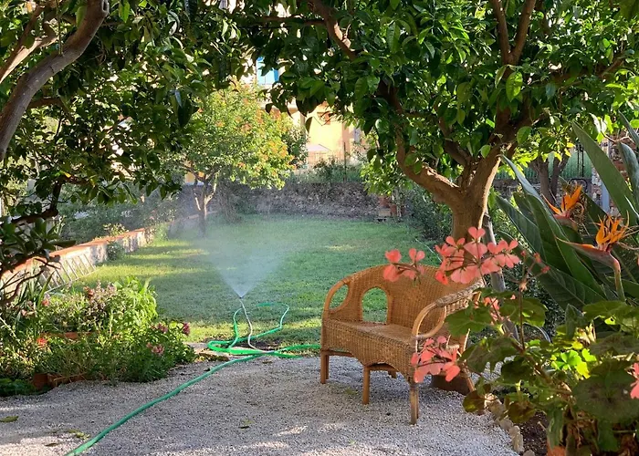 Il Giardino Dei Limoni
