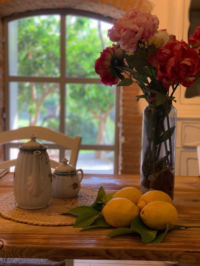 Il Giardino Dei Limoni Couette-café